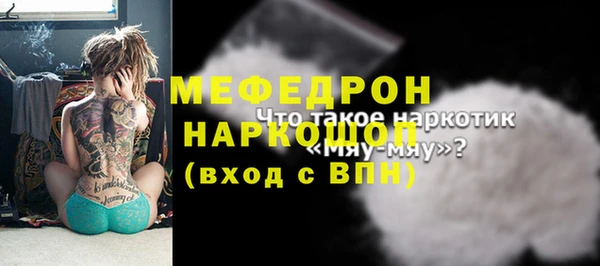 индика Верхний Тагил