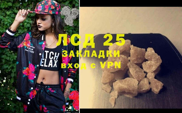индика Верхний Тагил