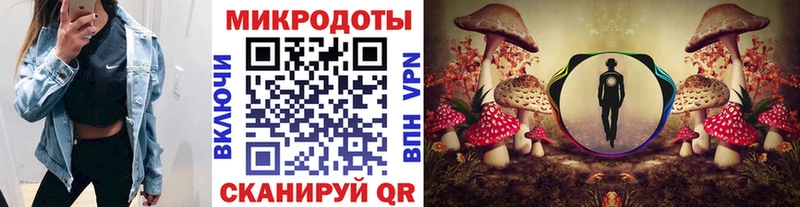 Псилоцибиновые грибы прущие грибы  Венёв 
